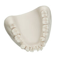 Model dentystyczny, wydrukowany w 3D