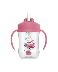 DR.BROWN'S gertuvė su &scaron;iaudeliu ir svareliu 270ml, Rabbit